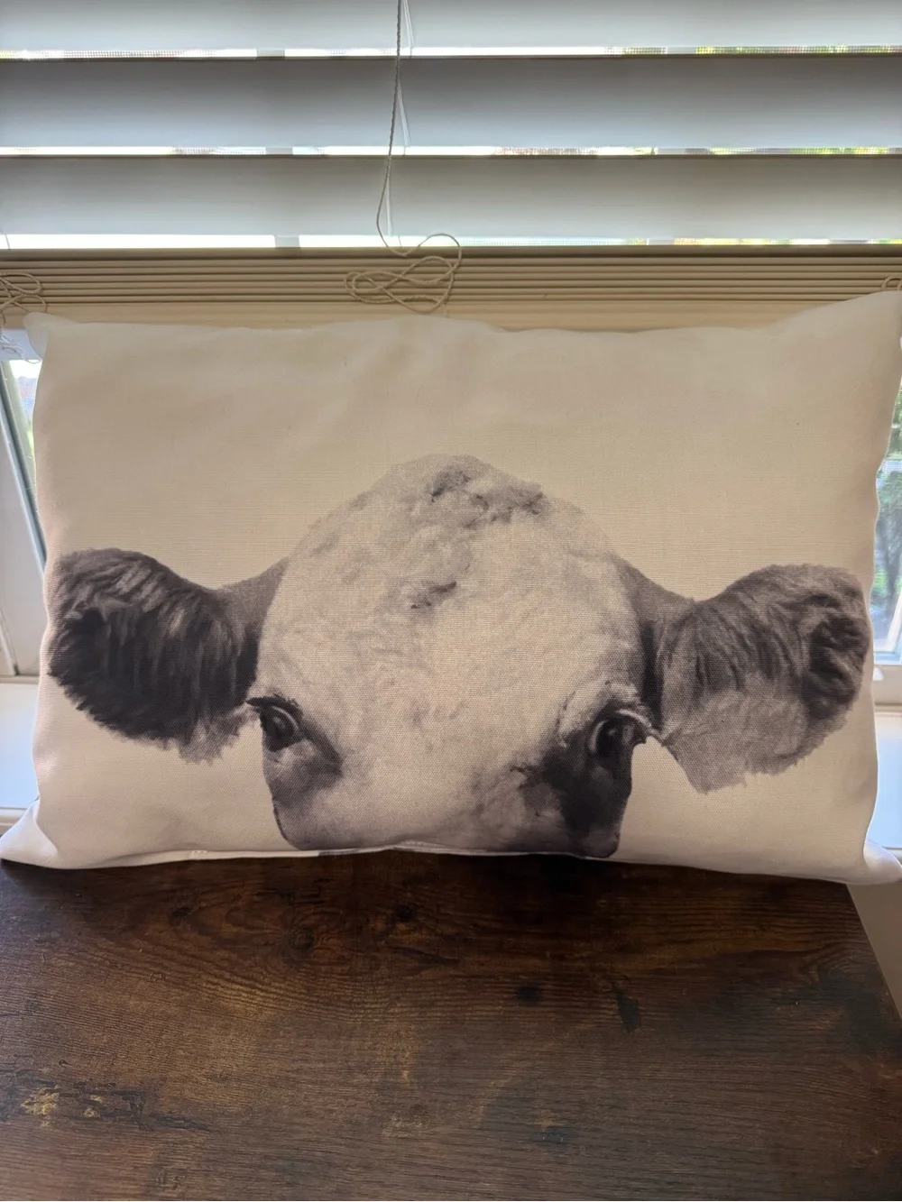 NWOT Rustic Calf Cow Face Lumbar Indoor Outdoor Accent Pillow 12